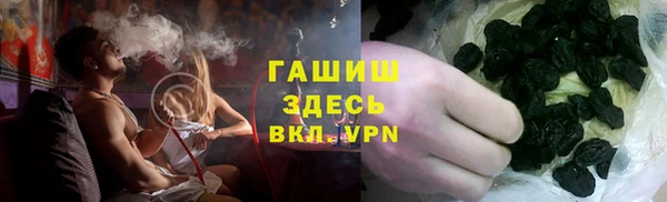 сатива Армянск