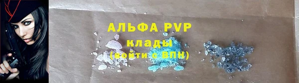 сатива Армянск