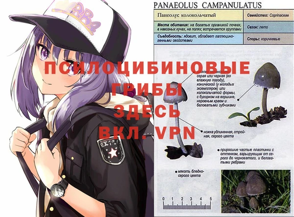 СК Арсеньев