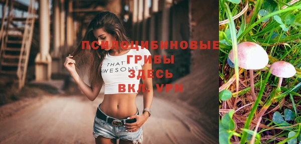 метадон Аркадак