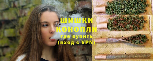 сатива Армянск