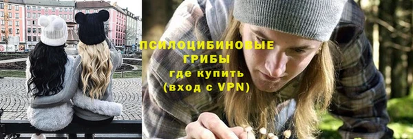 сатива Армянск